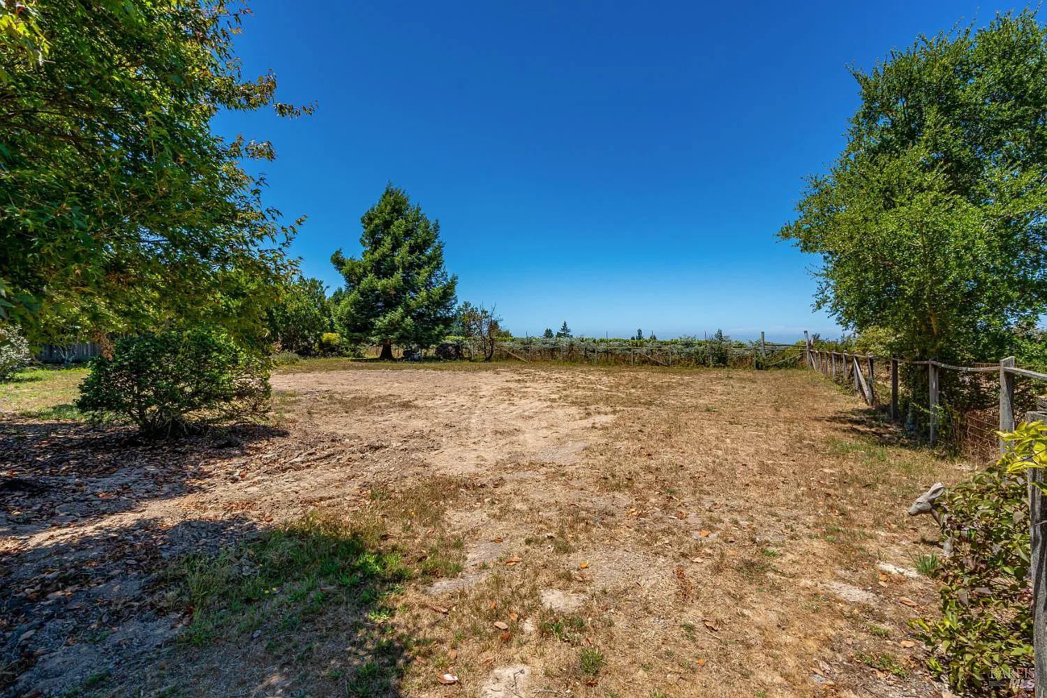 829 Rigsby Lane - Photo 5