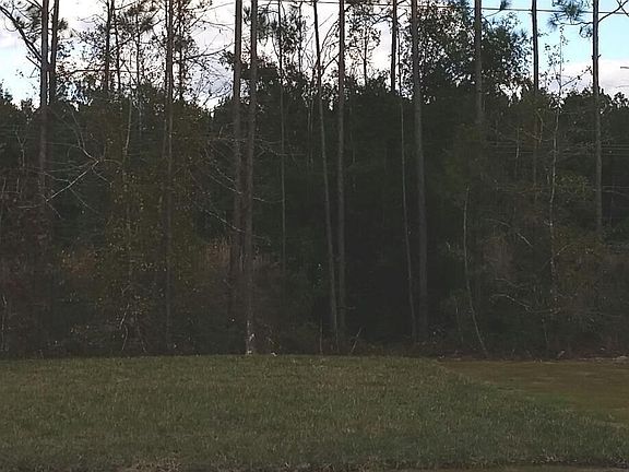 2169 wooded lot