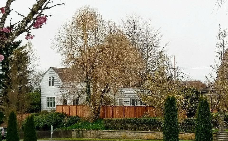 new 6ft cedar fence. 7/16