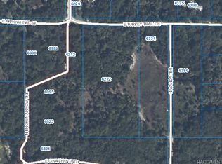 6272 E Turkey Trail Dr, Hernando, FL 34442