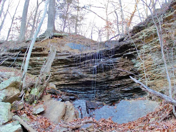 (undisclosed Address), Elkins, AR 72727