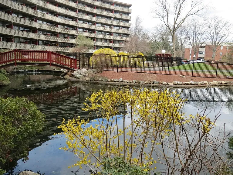 200 Swanton St #T10 — Photo 13