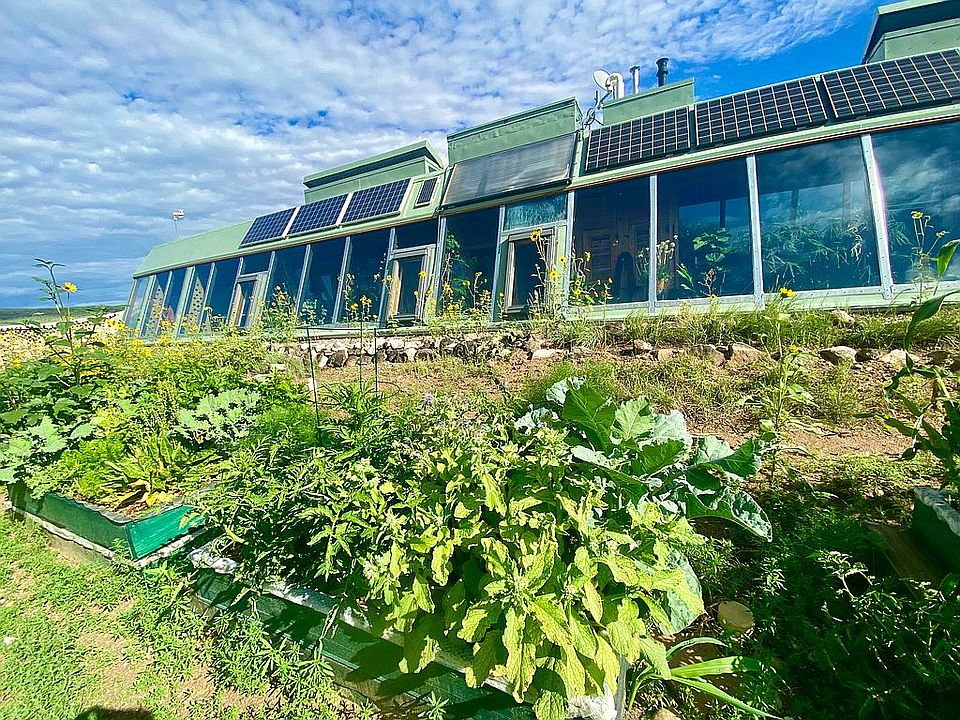 front w/ grow beds