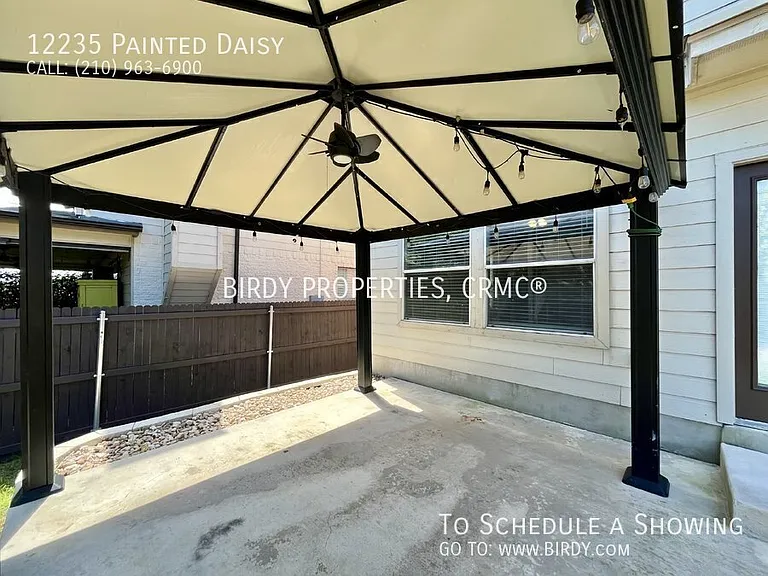 12235 Painted Daisy — Photo 39