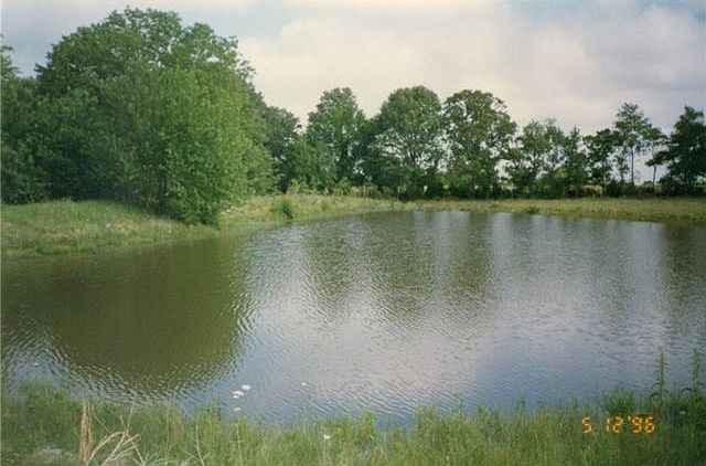 1st image of 423 County Road 3080