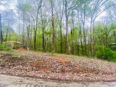 12466 Beech Fork Ln, Athens, AL, 35611