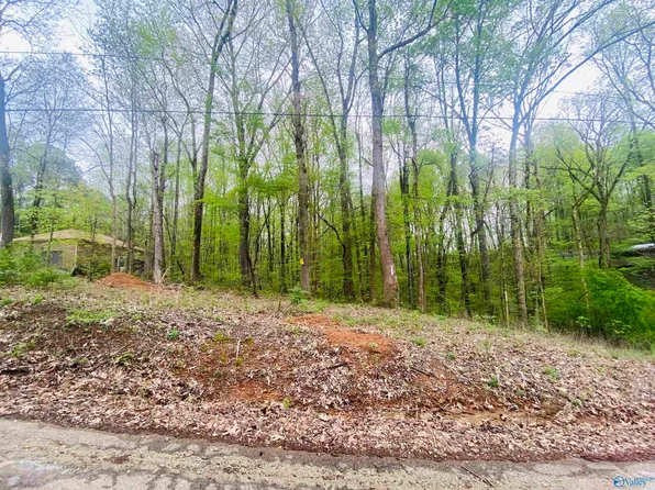 12466 Beech Fork Ln, Athens, AL 35611