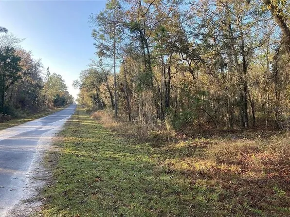 SE 126th Ter Lot 21, Dunnellon, FL 34431
