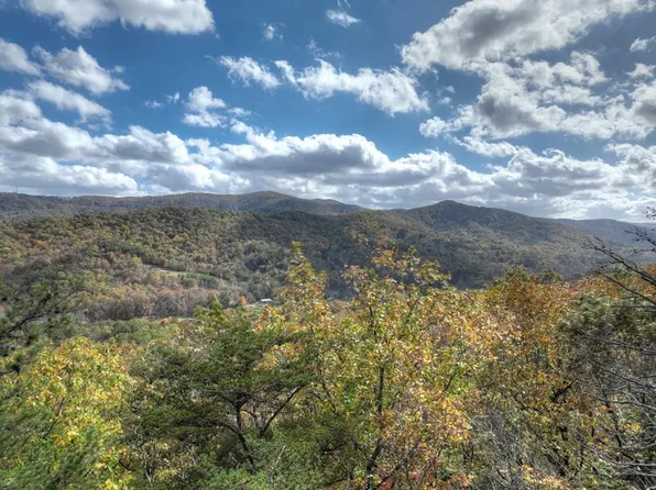 Weaver Creek Rd, Blue Ridge, GA 30513