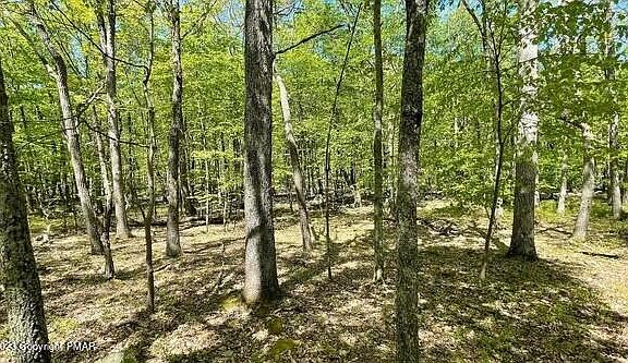 3rd image of LOT 254 Deer Run E