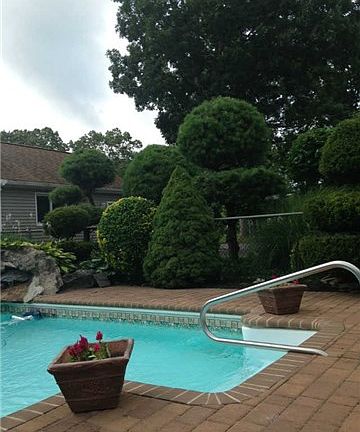 5th image of 307 Woodhull Ave