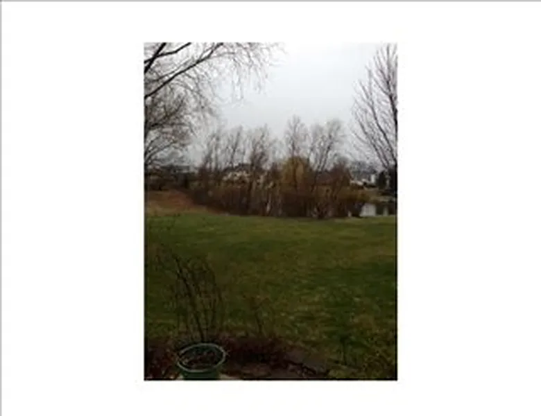 Thumbnail 19