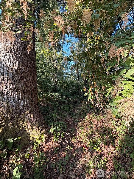 2nd image of 15620 Goldbar Drive