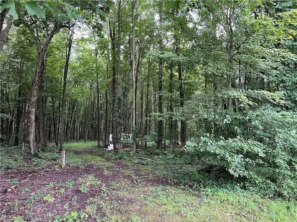 6124 Root Rd, Conneaut, OH 44030