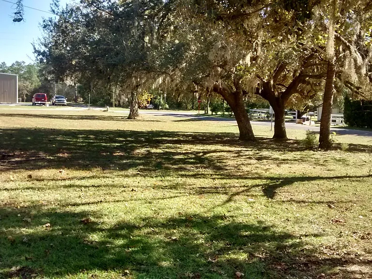 Side yard