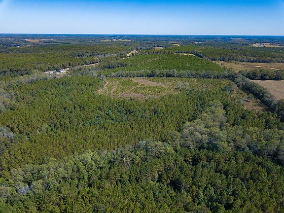 4th image of 131/ACRE S County Road 682