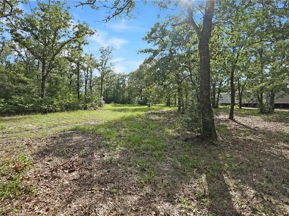 1045 Lakeview Dr, Somerville, TX 77879
