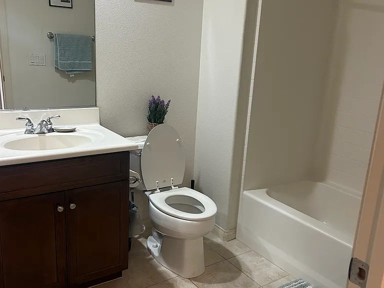 1411 Abelia — Photo 2