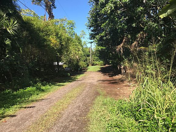 4th image of 13th Ave