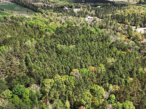 3rd image of 0 Pete Dixon Rd