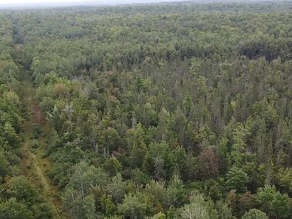 3rd image of Birch Rd