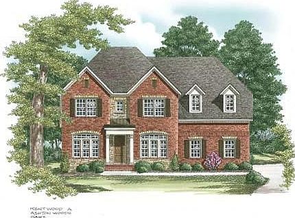 ElevationImage