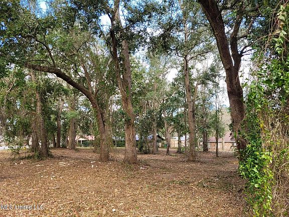 4th image of Destiny Oaks Dr Lot 20