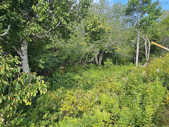 5th image of LOT 7 Prospect Rd