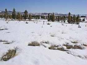 3rd image of 7208 Lupine Dr