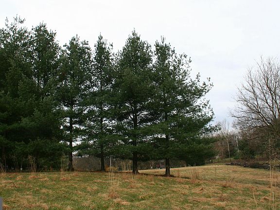 2nd image of 297 Macbeth Dr
