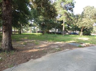 31434 Ashlyn Timbers Ct, Magnolia, TX 77355