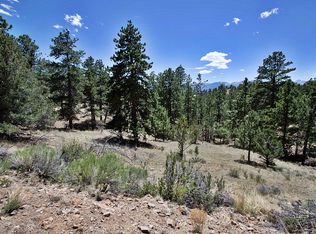 149 Evening Star Dr, Westcliffe, CO 81252