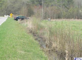 Tbd Trinity Rd, Lynchburg, SC 29080