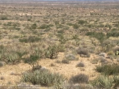 6989 N Horse Mesa Rd, Golden Valley, AZ, 86413