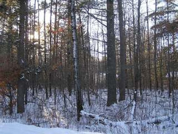 2nd image of On Frontier Cir E Lot 60