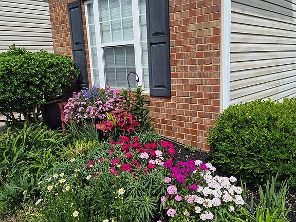 4th image of 352 Sarava Ln