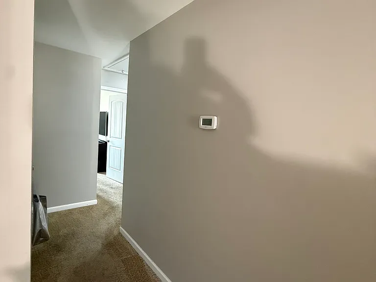 111 Crepe Myrtle Ln — Photo 11