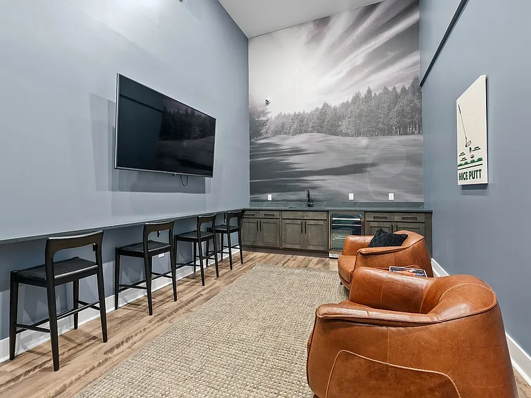 Sports/Golf Simulator Room
