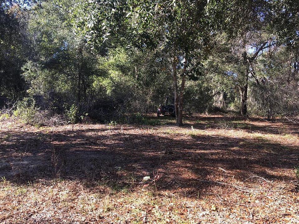 1st image of 00 MALAUKA RUN LOT 26