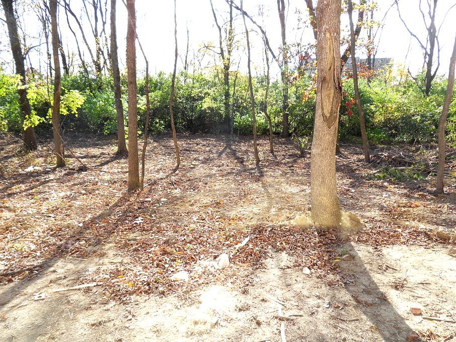 1st image of 11037 Cold Springs Dr
