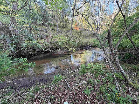 42nd image of 2494 Seng Run Rd