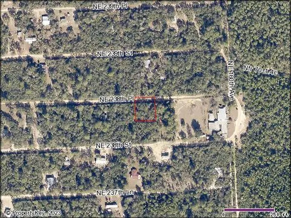 000 NE 238th Pl, Fort McCoy, FL 32134