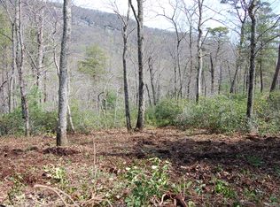 Garden Ln LOT 3, Lake Lure, NC 28746