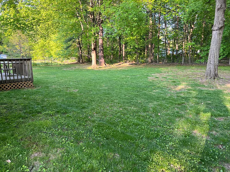 356 Shady Ln — Photo 7