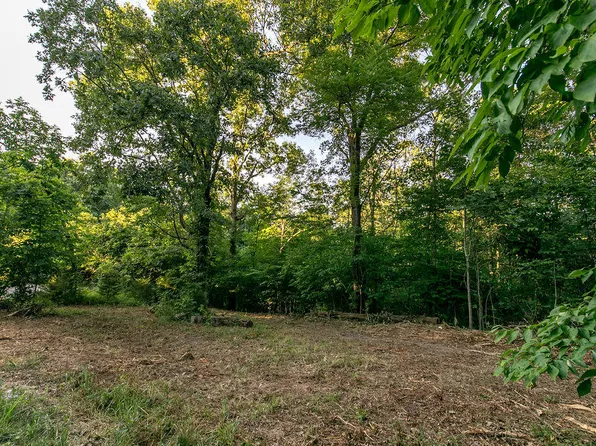 Lot 5 Ph 1 Misty River Subdivision, Nixa, MO 65714