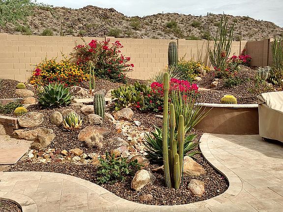 Xeriscaped yard