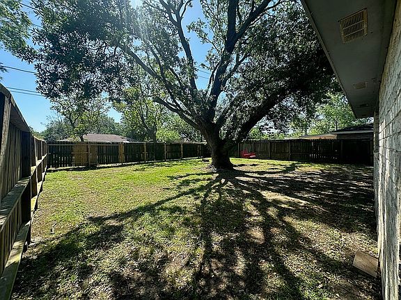 Huge oak tree in back yard.