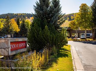 38750 Highway 82 #1159, Aspen, CO 81611