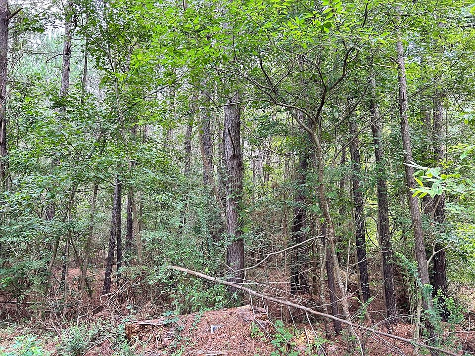 2nd image of Highway 319