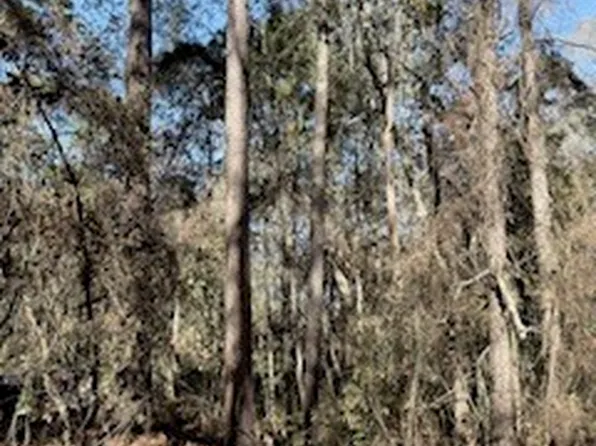 28 Deer Trail Ln, Midway, GA 31320